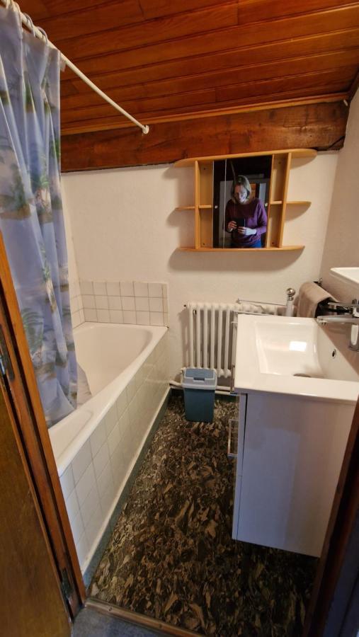 Chalet L'Acinos モンジェネヴル エクステリア 写真